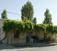 VATYLI