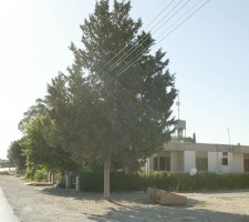 VATYLI