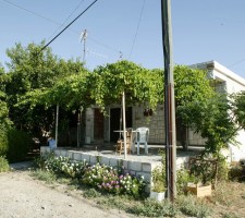 VATYLI