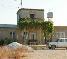 VATYLI