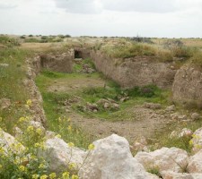 DIAFORES-16.jpg