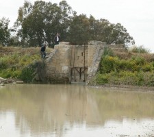 DIAFORES-23.jpg