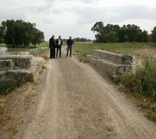 DIAFORES-28.jpg
