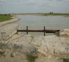 DIAFORES-29.jpg