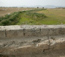 DIAFORES-30.jpg