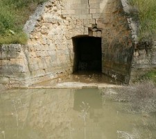 DIAFORES-33.jpg