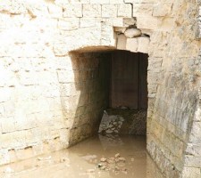DIAFORES-34.jpg