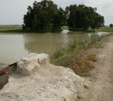 DIAFORES-39.jpg