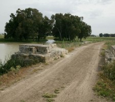 DIAFORES-40.jpg
