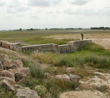 DIAFORES-50.jpg