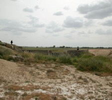 DIAFORES-51.jpg
