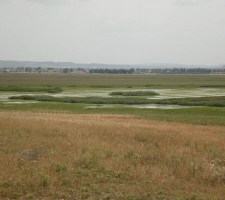 DIAFORES-7.jpg