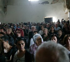 DIAFORES-14.jpg
