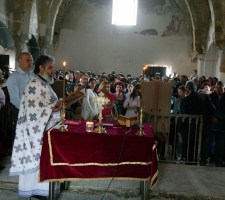 DIAFORES-3.jpg