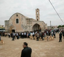 DIAFORES-49.jpg
