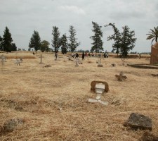 DIAFORES-56.jpg