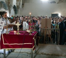 DIAFORES-6.jpg