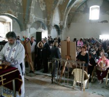 DIAFORES-60.jpg