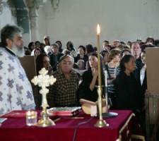 DIAFORES-7.jpg