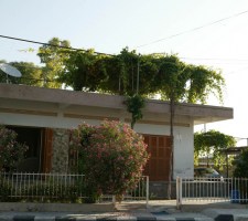 VATYLI
