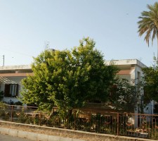 VATYLI