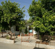VATYLI