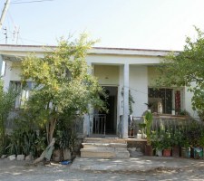 VATYLI