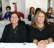 LEMESOS-A26