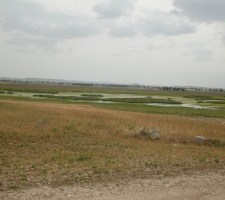MARCOS-9.jpg